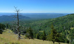 photo thumbnail #7