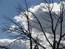 photo thumbnail #12