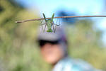 photo thumbnail #6