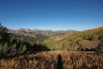 photo thumbnail #3