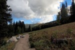 photo thumbnail #3
