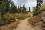 photo thumbnail #8