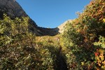 photo thumbnail #9