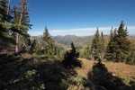 photo thumbnail #7