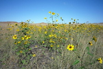 photo thumbnail #11