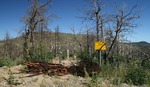 photo thumbnail #1