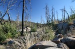 photo thumbnail #7