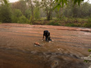 photo thumbnail #5
