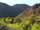 photo thumbnail #7