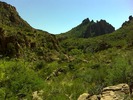 photo thumbnail #4