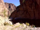 photo thumbnail #7