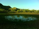 photo thumbnail #10
