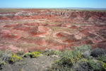 photo thumbnail #8