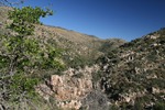 photo thumbnail #9