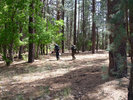 photo thumbnail #2