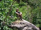 photo thumbnail #6