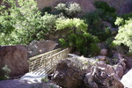 photo thumbnail #11