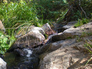 photo thumbnail #5