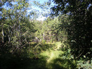 photo thumbnail #11