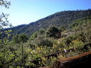 photo thumbnail #12
