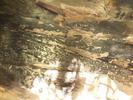photo thumbnail #15