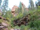 photo thumbnail #5