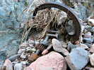 photo thumbnail #8