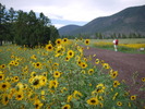 photo thumbnail #2