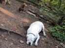 photo thumbnail #8