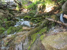 photo thumbnail #9