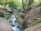 photo thumbnail #10