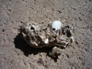 photo thumbnail #12