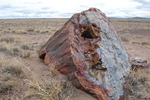photo thumbnail #2