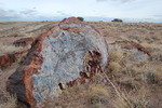 photo thumbnail #3