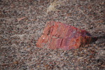 photo thumbnail #8