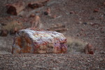 photo thumbnail #9