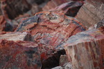 photo thumbnail #10