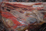 photo thumbnail #12