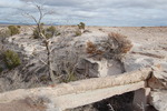 photo thumbnail #15