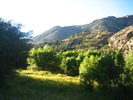 photo thumbnail #5