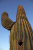 photo thumbnail #14