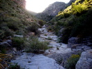 photo thumbnail #10