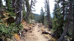photo thumbnail #14