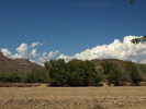 photo thumbnail #6