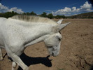 photo thumbnail #8