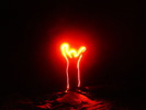 photo thumbnail #11