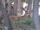 photo thumbnail #13