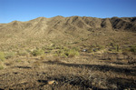 photo thumbnail #6
