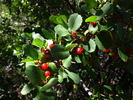 photo thumbnail #3