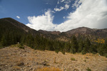 photo thumbnail #13